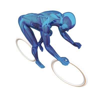 gallery/sqlab the spine